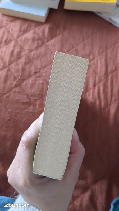 Un peu beaucoup à la folie de Liane Moriarty (image 6)