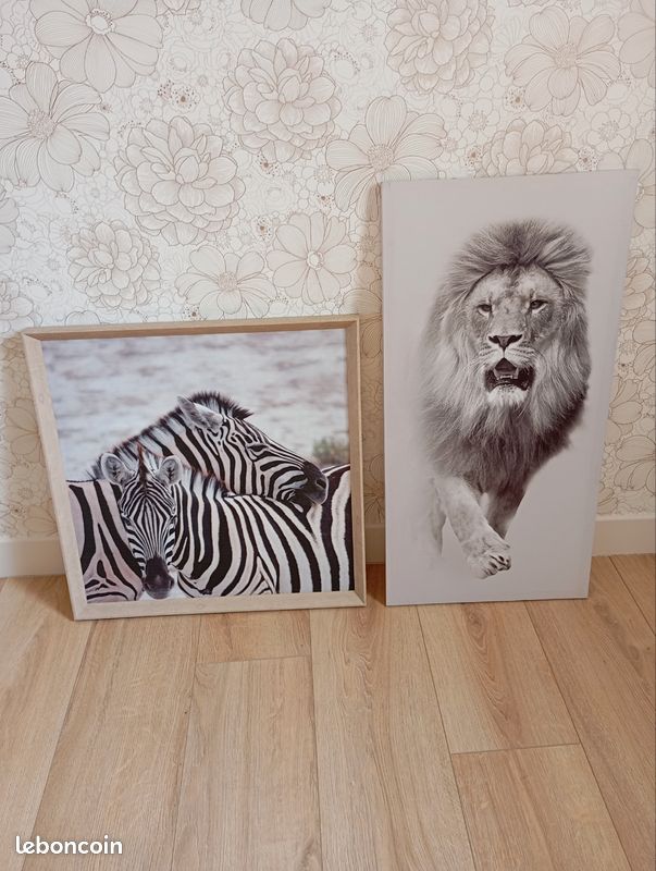 Lot cadres animaux (image 1)