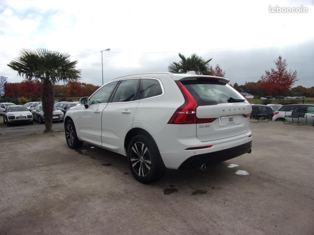 Volvo XC60 BUSINESS D4 190 ch AdBlue Geatronic 8 Executive TVA récupérable (image 6)