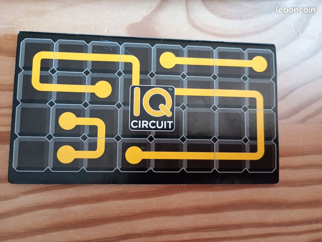 Jeu de réflexion iq circuit smart games (image 1)