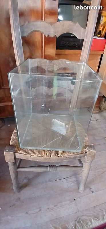 Aquarium et accessoires (image 1)