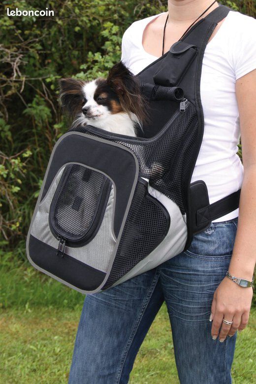 Petit Chien Sac Porte Chien Ventral Sac Ventral Pour Petit Chien