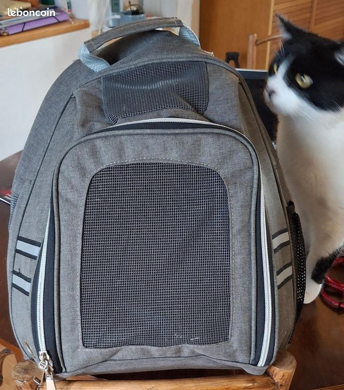 Sac à dos pour chat ou petit chien Accessoires animaux