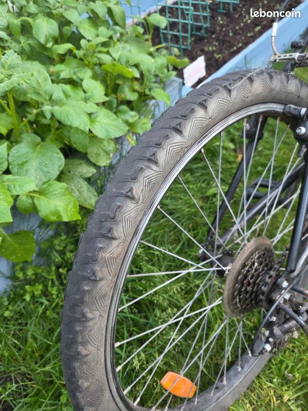 Velo rock rider 5.0 (image 12)