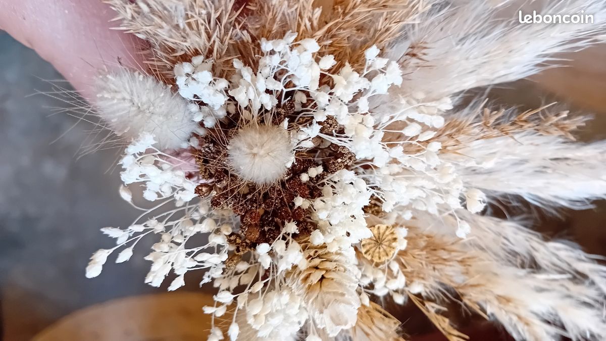Ensemble 80 Pièces Décoration Pampas Bohème - Fleurs Séchées Naturelles Pour Mariage