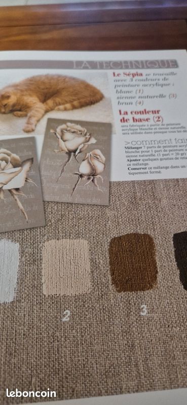 Livre Peinture Déco la déco sépia pas à pas facile (image 7)