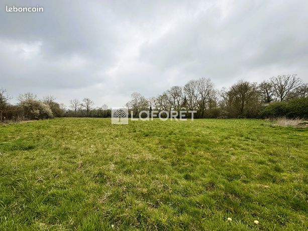 Terrain 7991 m² ARGENCES