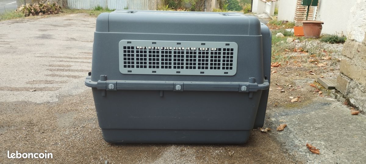 Caisse transport chien xl (image 2)