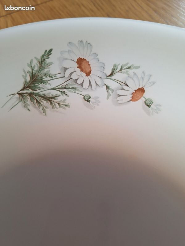 ARCOPAL ramekin Marguerite model White Opaline Floral,Vegetal