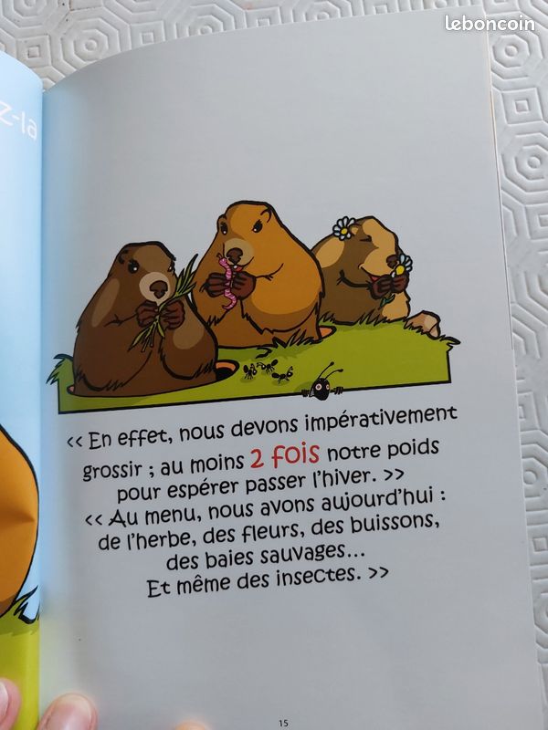 Livre enfant ZZZ la marmotte (image 3)