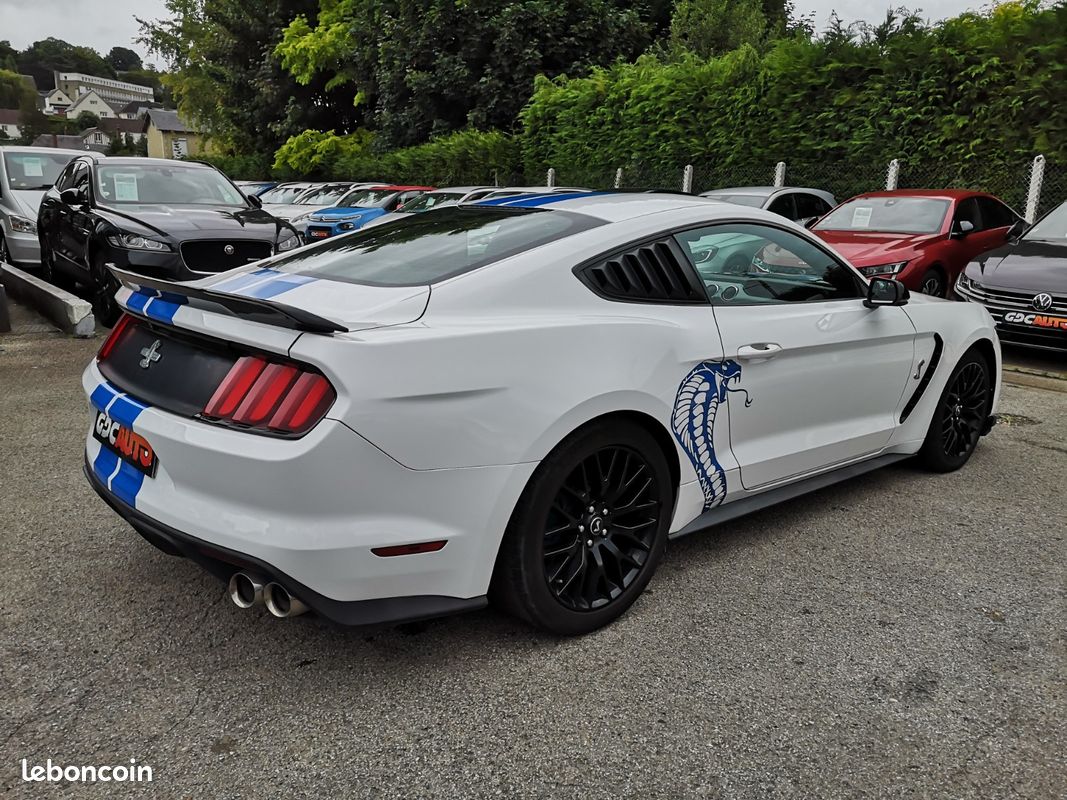 FORD Mustang FASTBACK 5.0 V8 420 GT BVA USA (image 6)