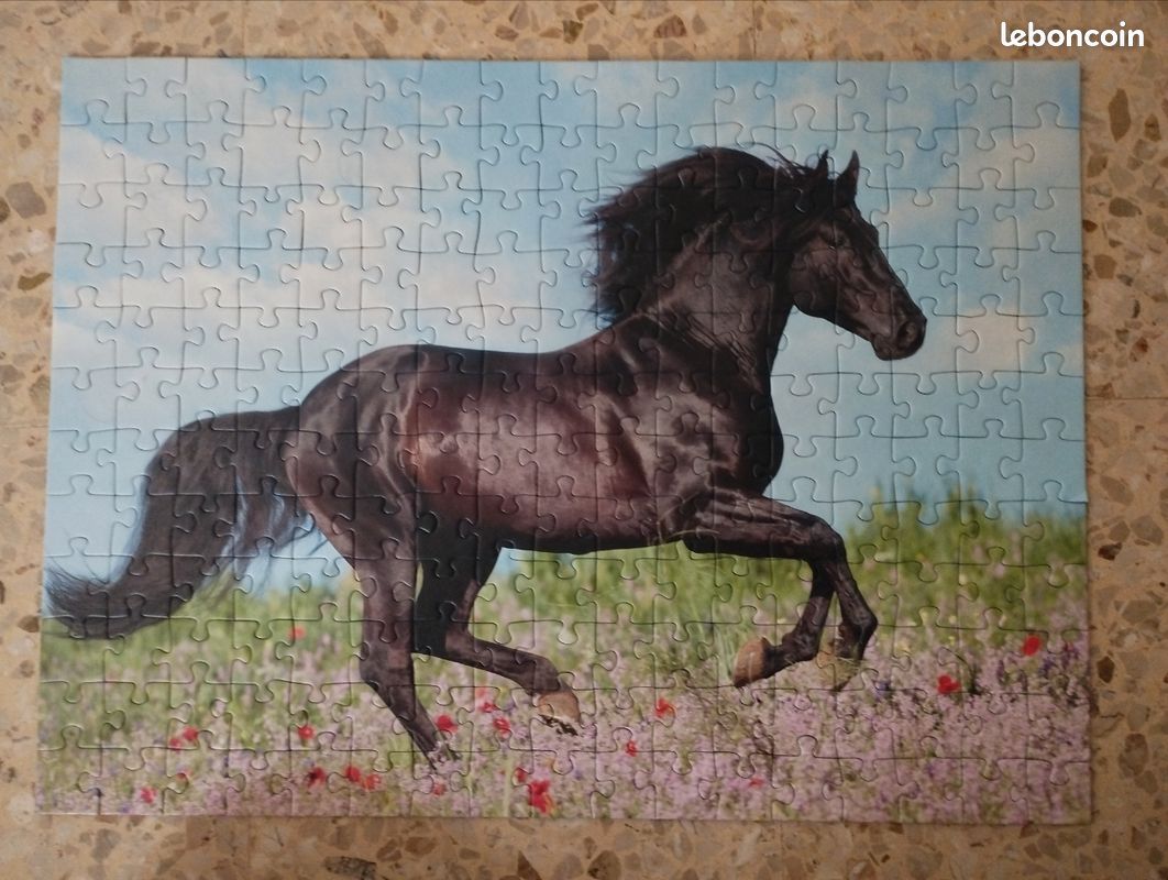 Puzzle cheval 200 pièces (image 1)