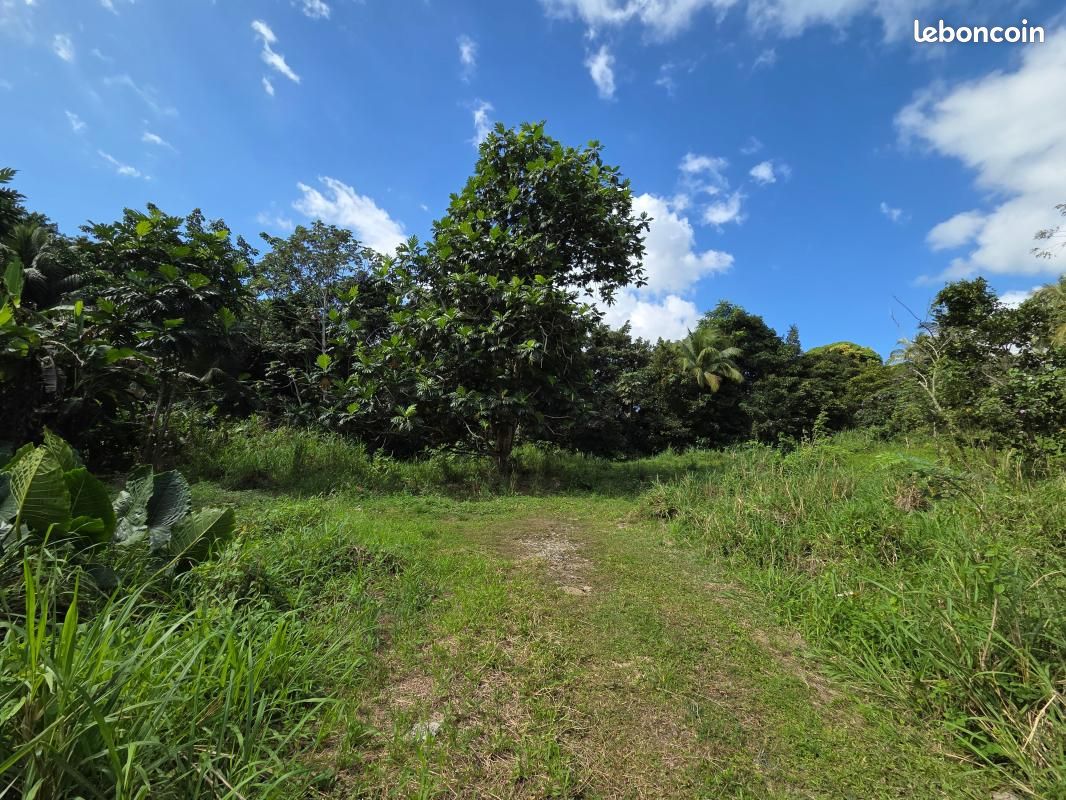 Terrain 1769 m² · à Sainte-Rose · 145 000 €