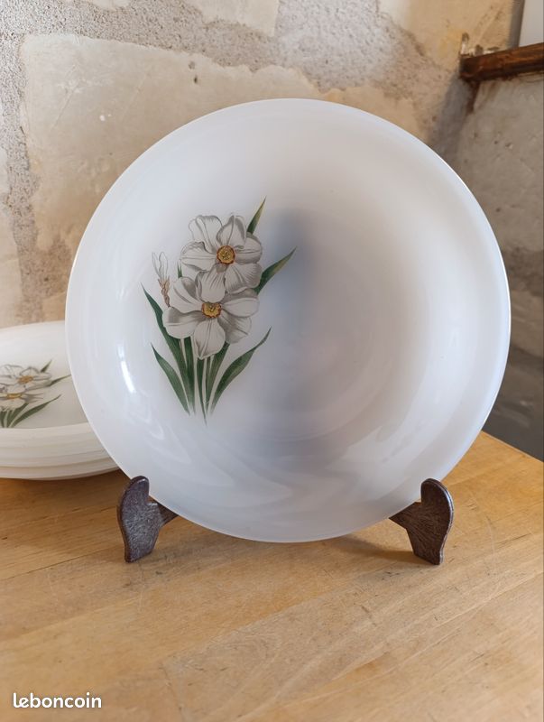 Lot De 6 Assiettes à Dessert Arcopal - Opaline Fleurs Narcisse - Cristal D'Arques 23cm