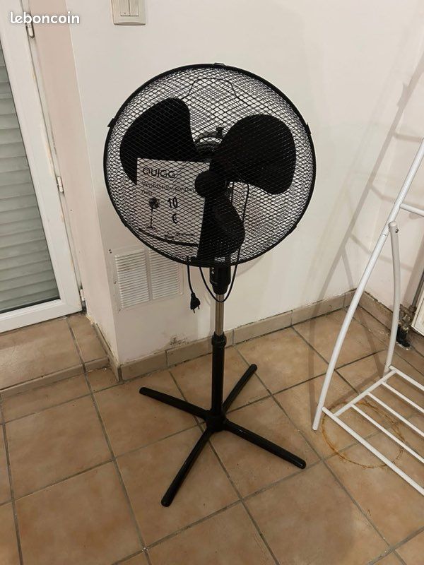 Tout doit disparaître (image 14)