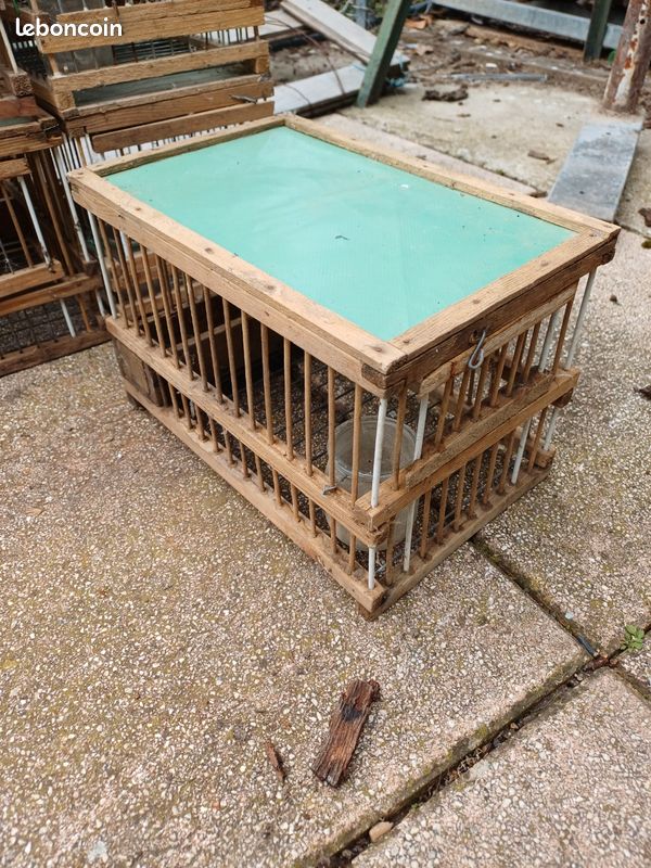 Cages à grives (image 2)