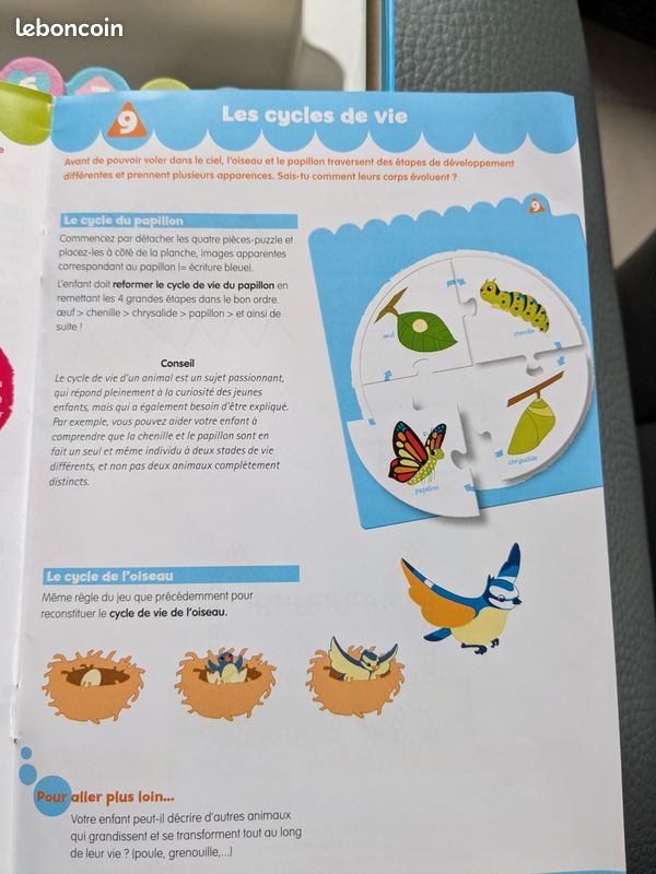 Mes jeux de moyenne section 4+ (image 16)