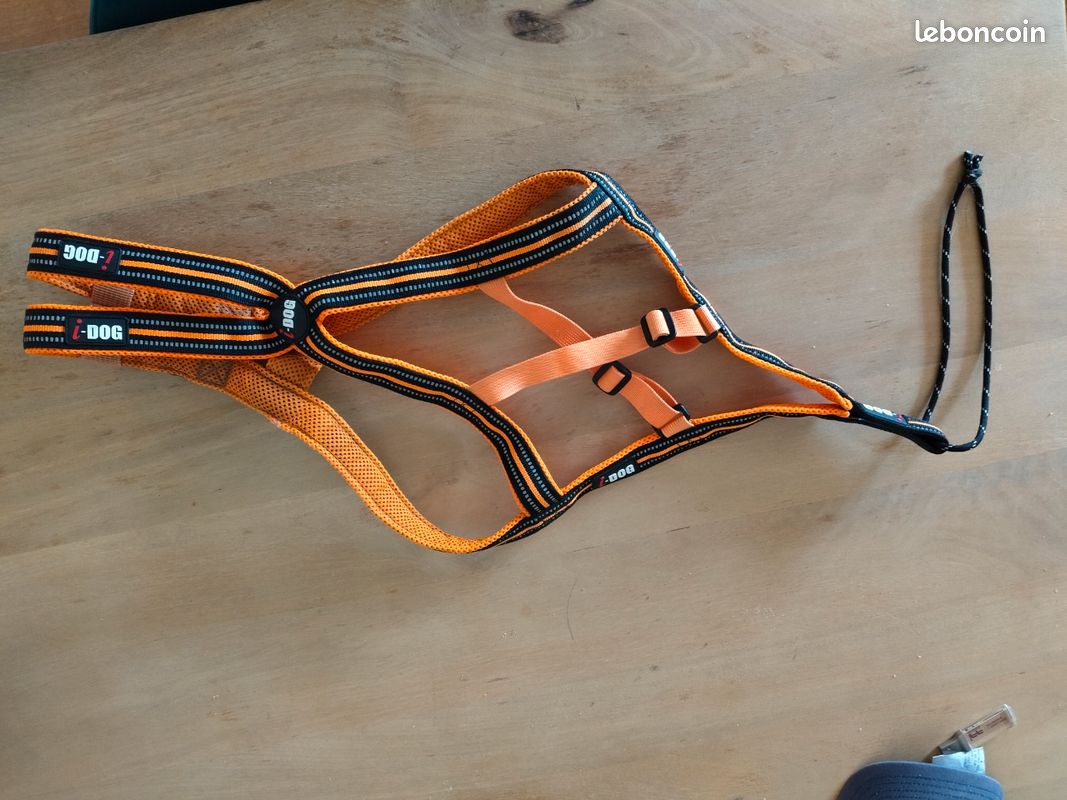 Harnais canicross I-dog Taille S (image 3)