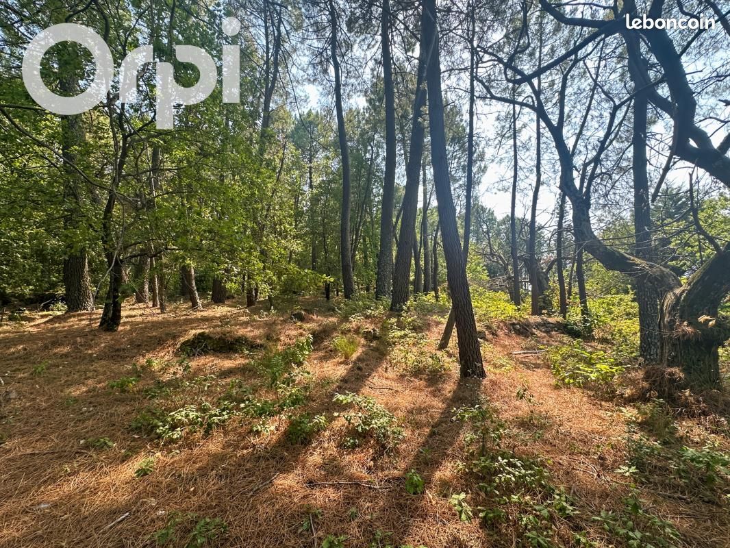 Terrain 1 800 m² Ailhon · 100 000 €