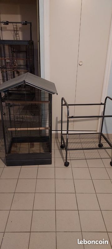 Cage perroquet ou autre (image 2)