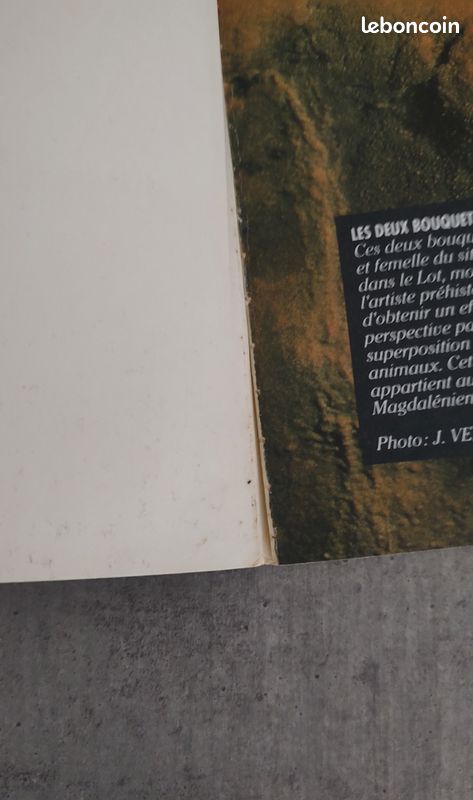 BD Rahan - L’Intégrale n°10 (image 6)