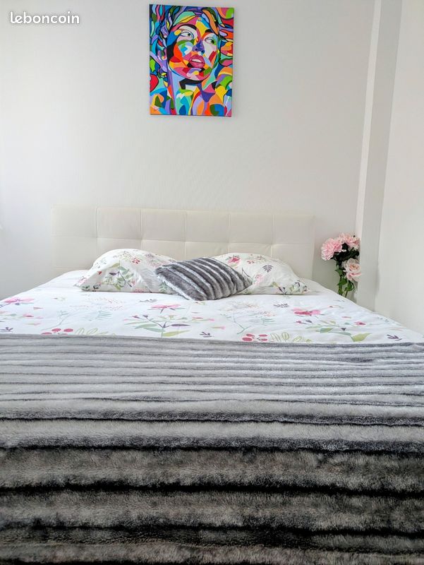 Appartement T2 proche hypercentre (image 7)
