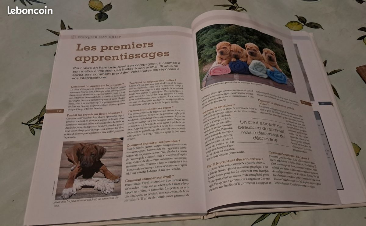 L'encyclopedie sur les chiens/chiots (image 4)