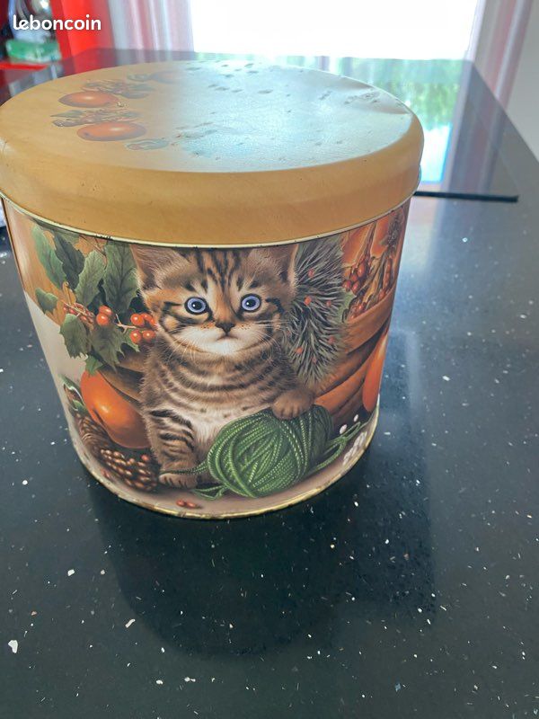 Grande Boîte pour chat métallique Ballocco vintage (image 1)