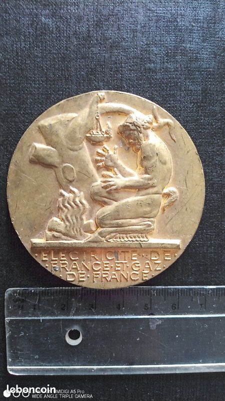 MEDAILLE EN BRONZE ELECTRICITE DE FRANCE - GAZ DE FRANCE, signée Dropsy