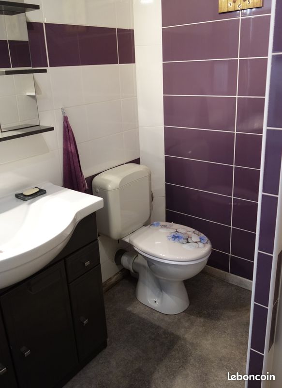 Appartement 5 personnes maxi dans maison à ANCELLE (station Hautes-Alpes) (image 12)