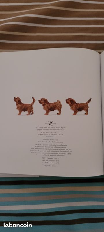 Livre photographies Drôle de chien par Araldo De Luca NEUF (image 5)