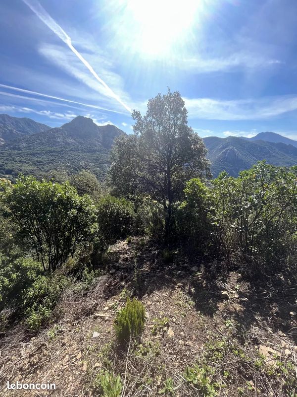 Terrain 3842 m² · à Ocana · 3 842 m² · 105 000 €