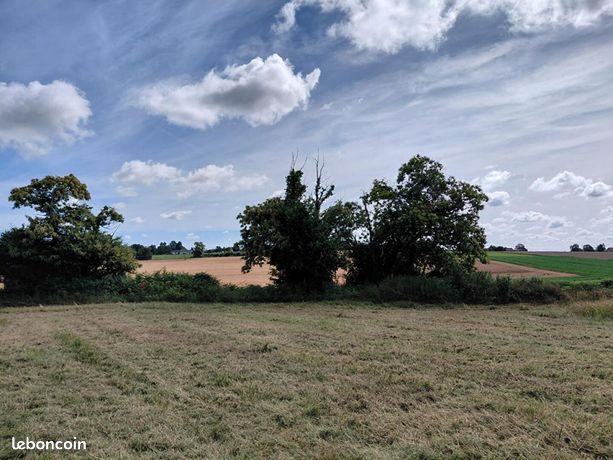 Terrain 1 615 m² Vignes