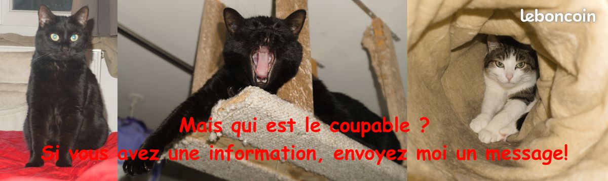 Écran acoustique antireflexion (Micscreen) t.bone (image 9)