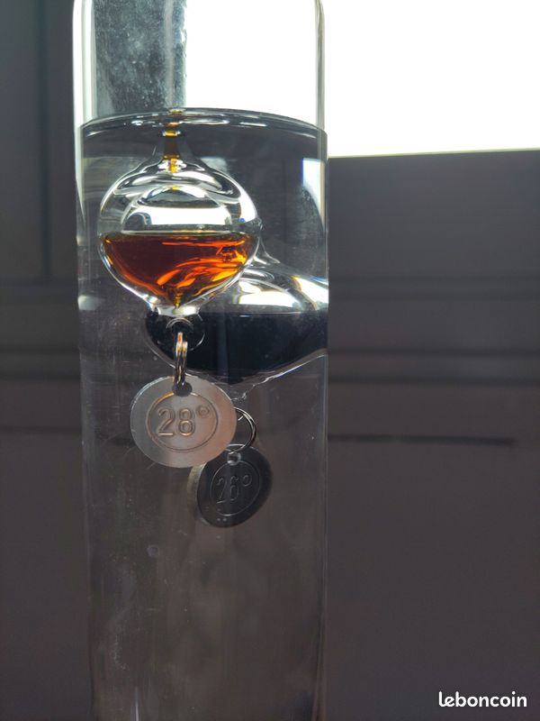 Thermomètre de Galilée (image 4)