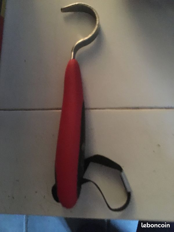 Brosse de passage équitation (image 4)