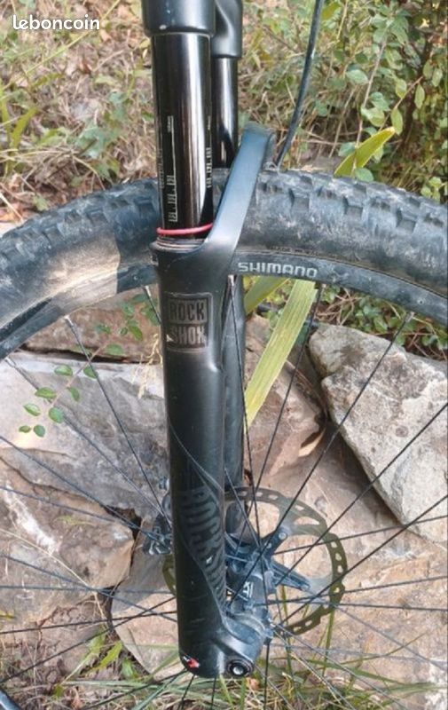 Willier Triestina 101X Carbone taille L (image 4)
