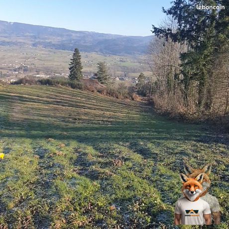 Terrain 3263 m² Saint-Ferréol-des-Côtes