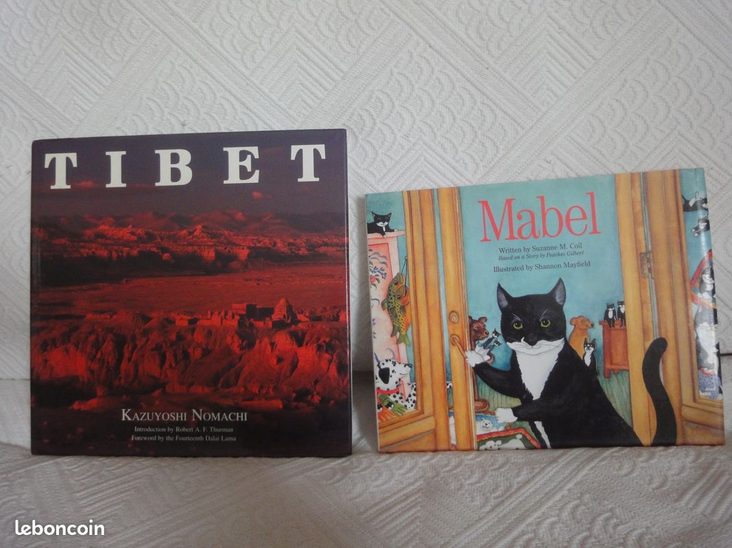Livres en anglais NEUFS (image 1)