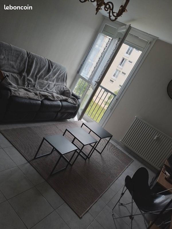 Appartement T2 bord de Vienne - Limoges 87000 (image principale 2)