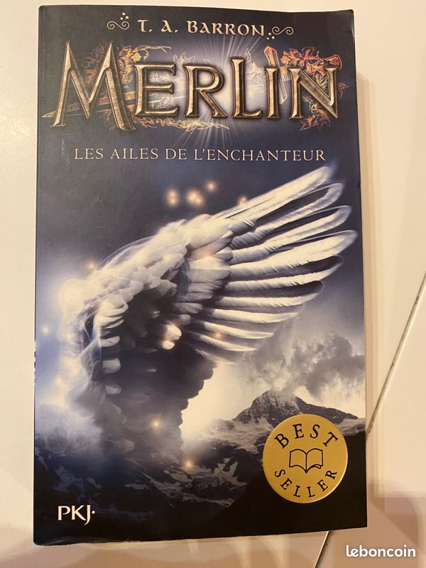 Lot de 4 livres ado fantastique (image 5)