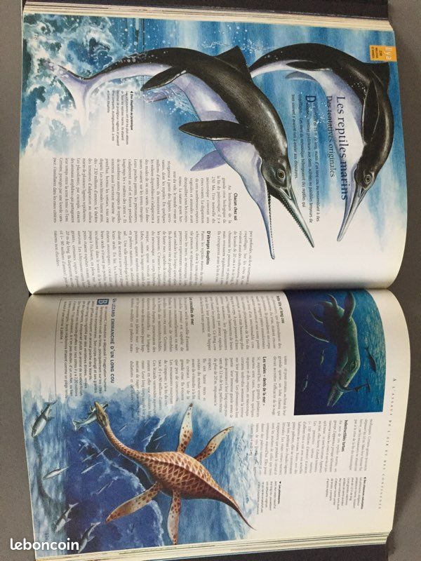 La fabuleuse histoire de la terre (image 3)