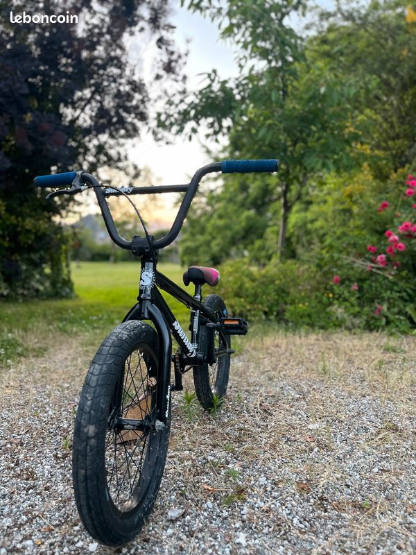 Bmx sunday (image 3)