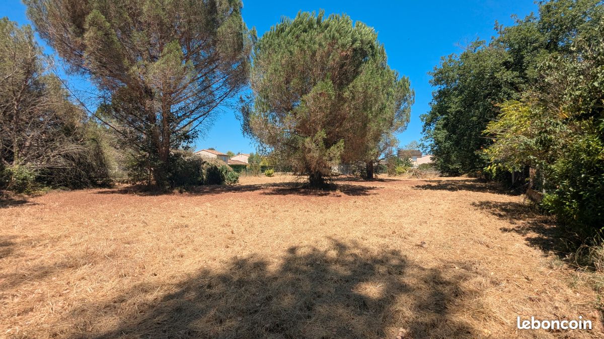 Grand terrain constructible 1485 m² au calme - Saint-Sulpice-la-Pointe · 167 000 €