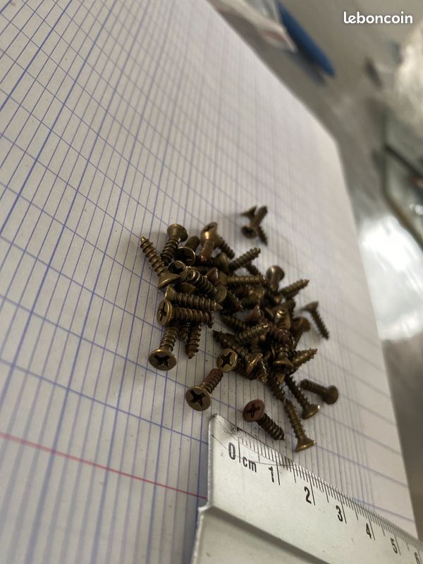 Lot d’environ 50 mini vis 1cm de long (image 2)