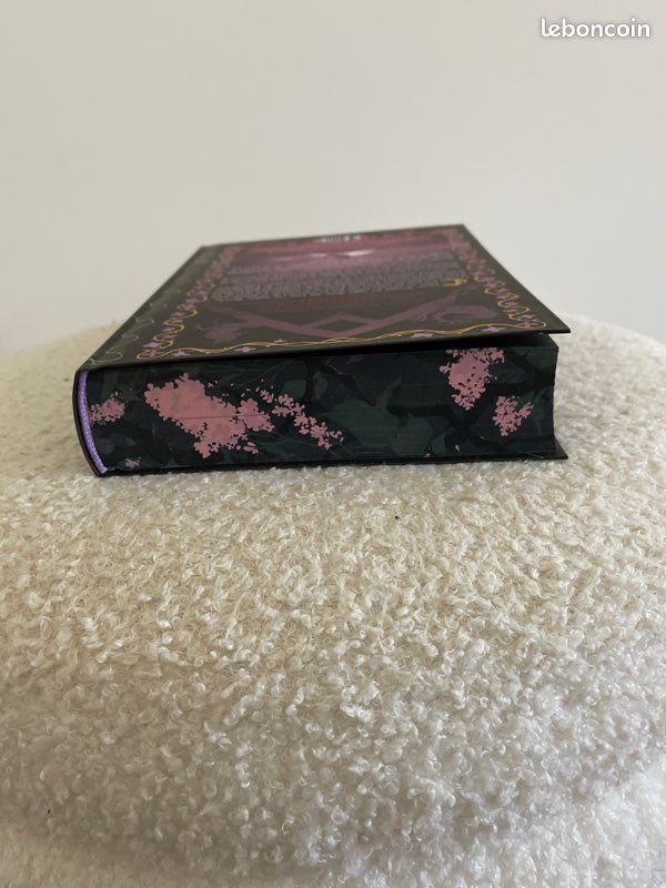 Livre « Peau d’ame » (image 6)