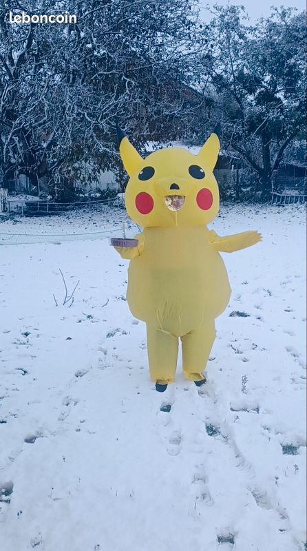 Déguisement gonflable Pikachu (image 1)
