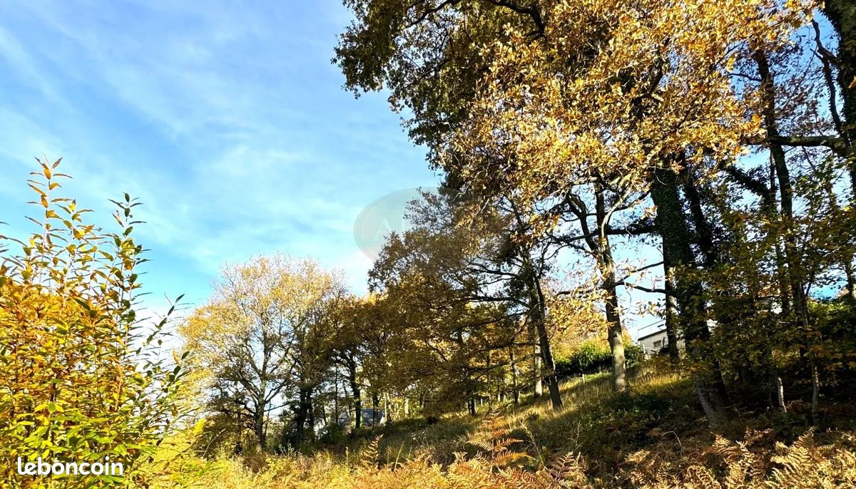 Terrain 2400 m² · à Tarbes · 2 400 m² · 62 000 €