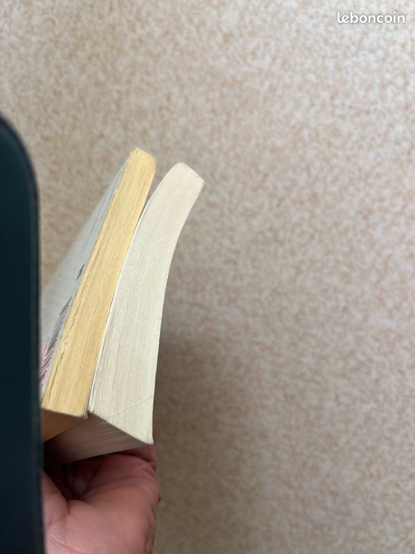 2 livres Laurent gounelle (image 7)