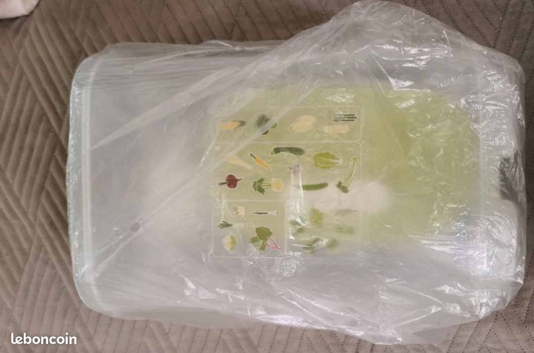 Tupperware neufs (image 7)